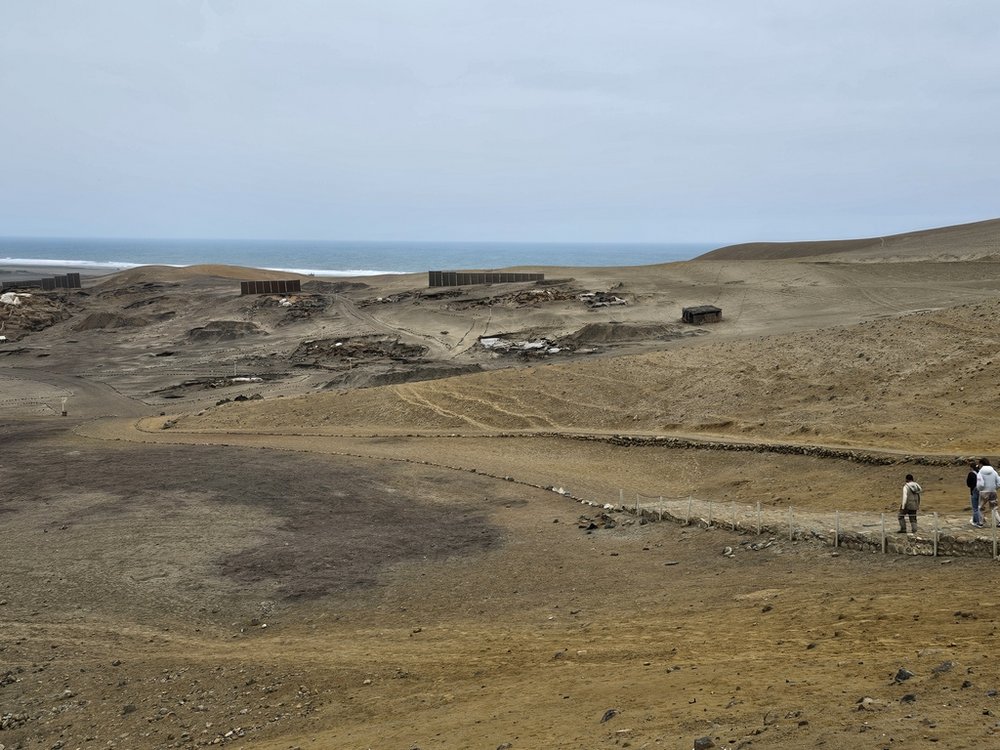 widok na pustynię, w tle ocean oraz fragment stanowiska archeologicznego