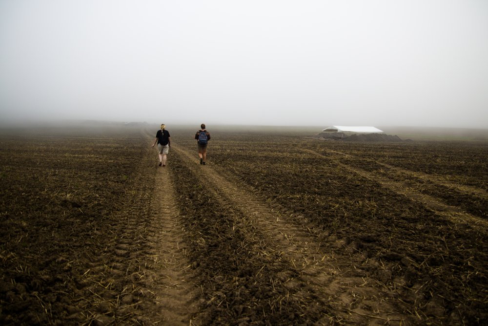 Osoby idące po polu, e tle zamglone niebo i wykop w oddali