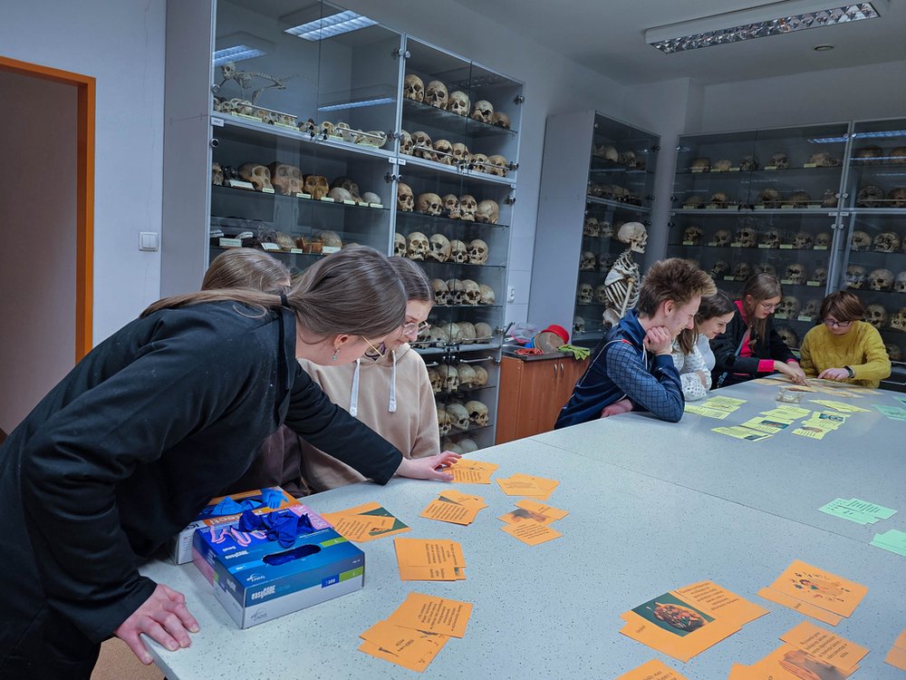 grupa ludzi przy stole układających kolorowe kartki z napisami, na tle gablot z czaszkami