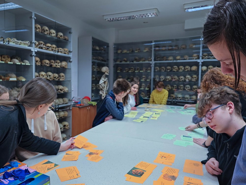 Grupa ludzi czytających i układających kolorowe kartki z napisami