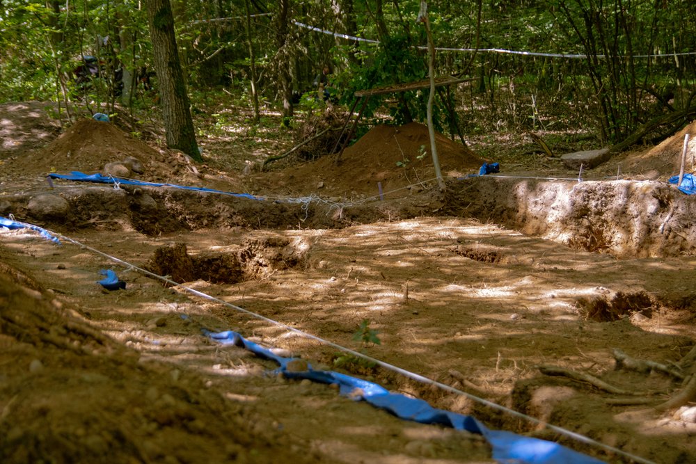 odkryty wykop archeologiczny w lesie wśród drzew 