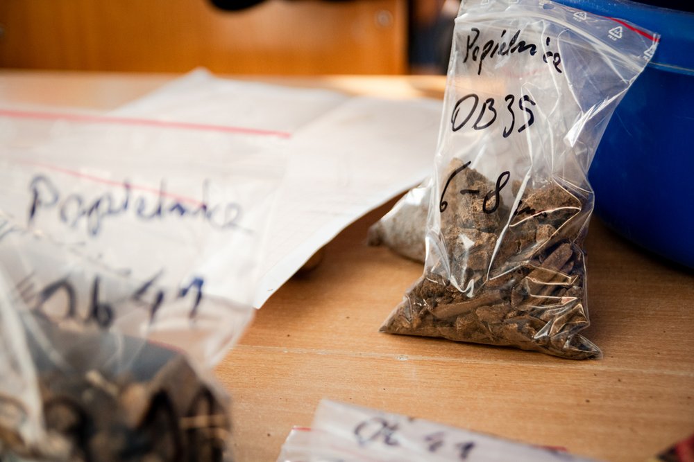 fragmenty kostne w woreczkach strunowych