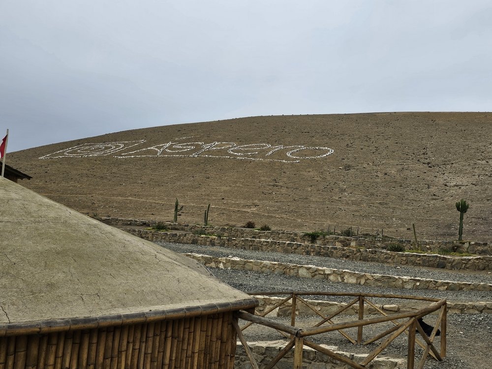 widok na pustynię oraz fragment stanowiska archeologicznego