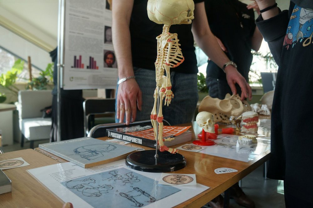 Stół ze szkieletem i kartami