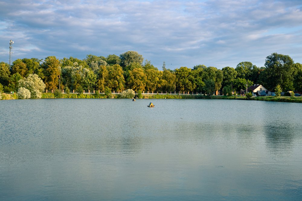 krajobraz przedstawiający taflę jeziora i drzewa w oddali