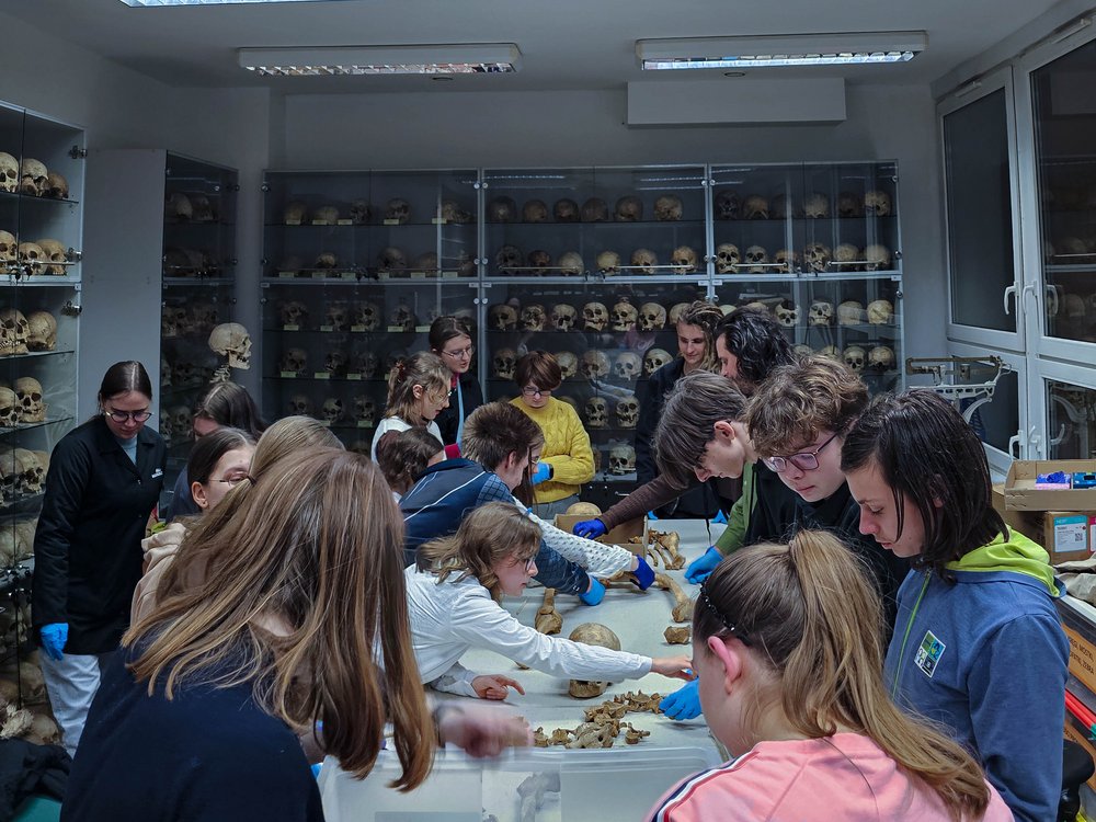 Grupa ludzi przy stole układających szkielet w sali na tle czaszek w gablotach 