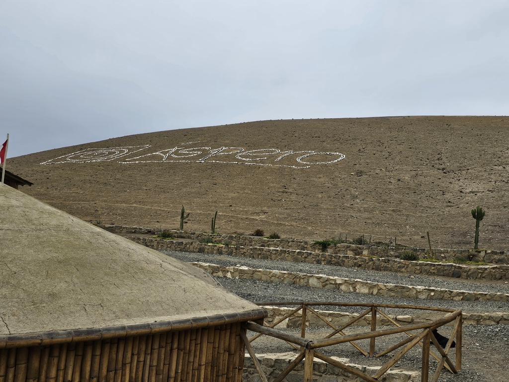 widok na pustynię oraz fragment stanowiska archeologicznego