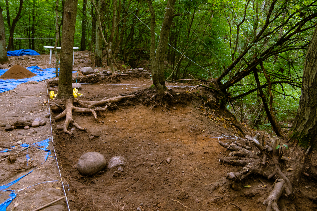 odkryty wykop archeologiczny wśród drzew
