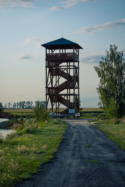 droga do drewnianej wieży widokowej przy jeziorze