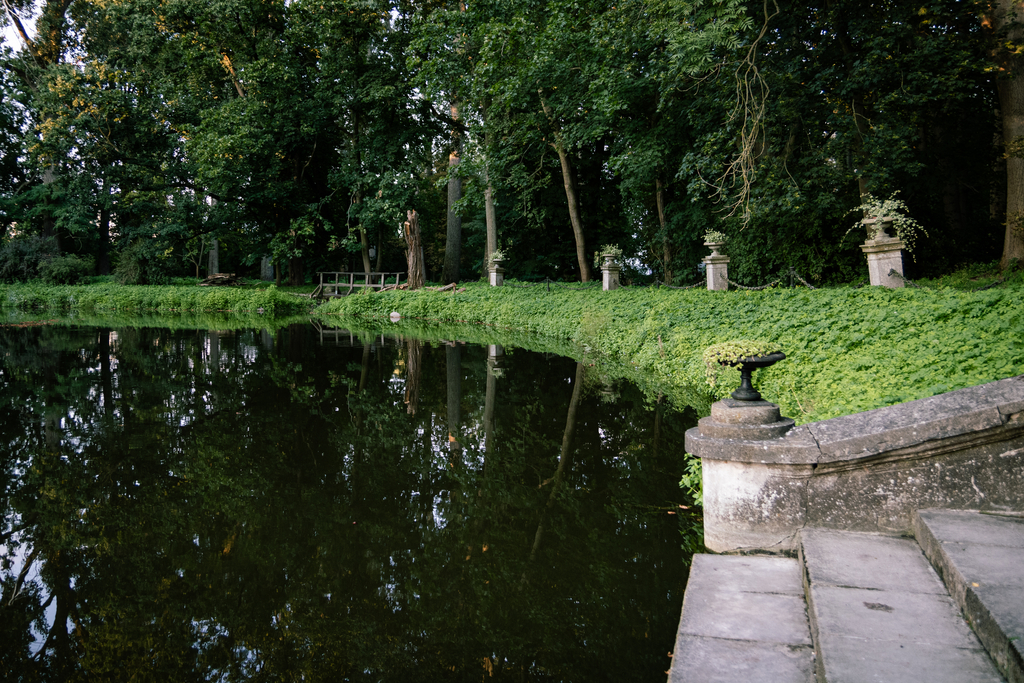 fragment kamiennych schodów i fosa zamkowa otoczona zielenią